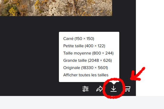 là.jpg
