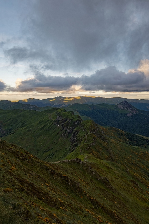 041A7130_DxO-border.jpg.ac56160b4c0877b24857dcb5f5f9d147.jpg