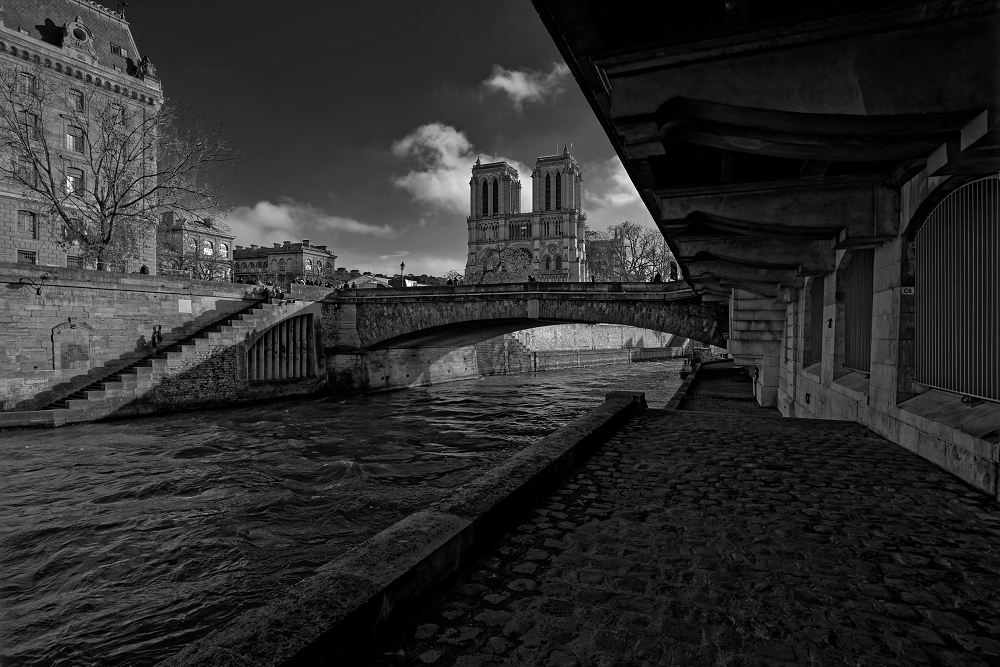 180A7797_DxO_1-border.jpg.3fca17540a1449355e9561c5c2cff9cd.jpg