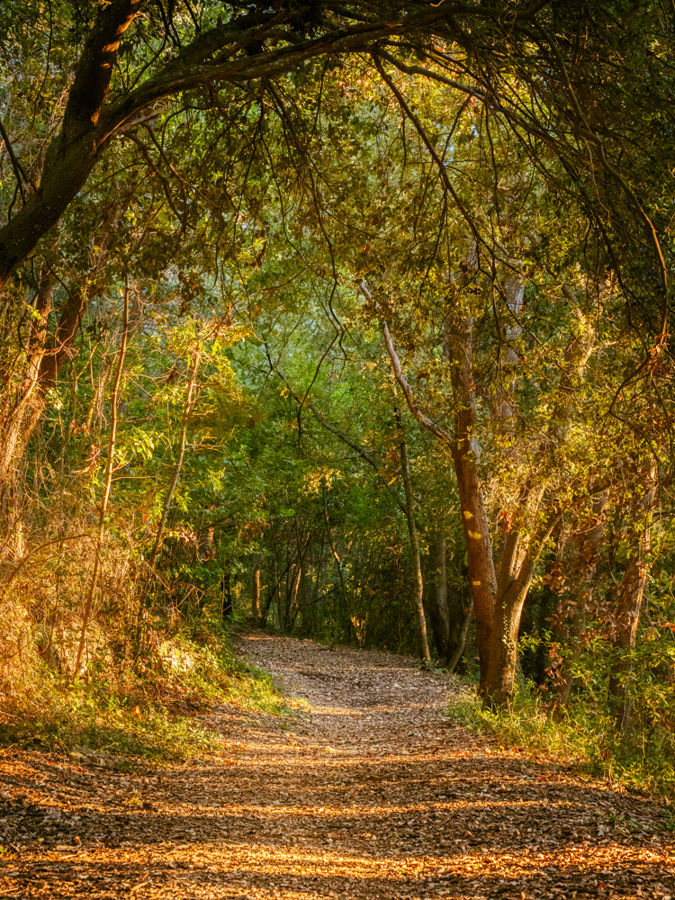 A7400326-Modifier-2.jpg.c44d3e85eac788616f77eb4b43054b38.jpg