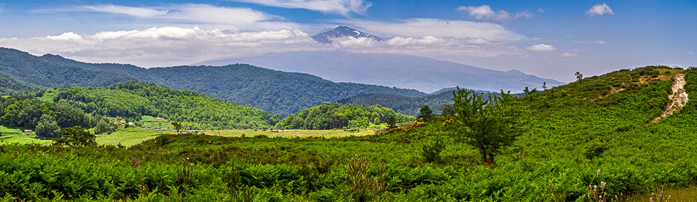 IMG_9498-Pano.jpg.1127287c611e6553700f44eda09a36ab.jpg