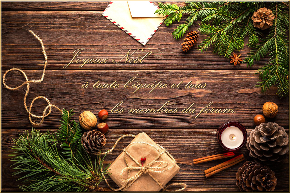 christmas.jpg.5c4954e8ff55f8a8e1a6e29ddafa0d77.jpg