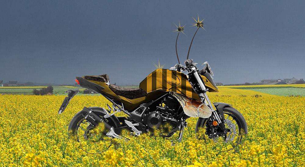 hornet-colzap.jpg.c056c73c28a5ae6e38bba3a1d6a21676.jpg