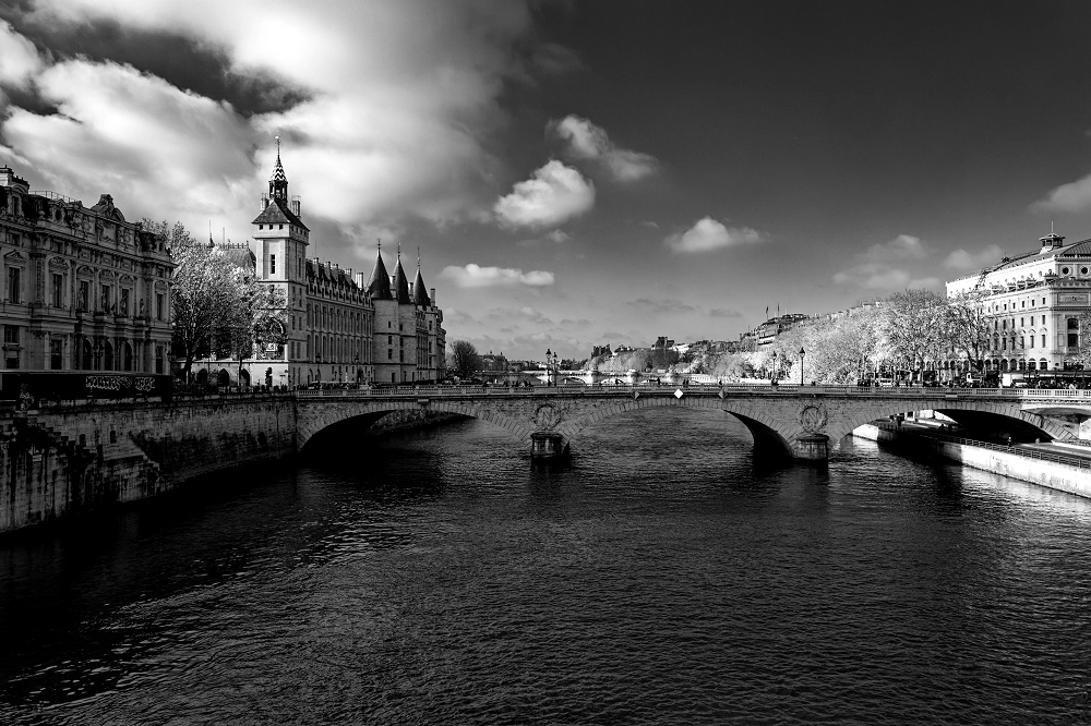 041A0437_DxO-border.jpg.24dbdd67c75674f6736628b6b40e0040.jpg