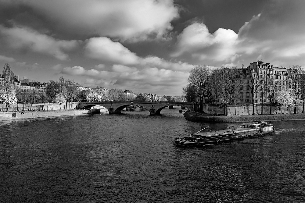 041A0441_DxO-border.jpg.56bca01d8f61c4beba8e79ec33ed90fe.jpg