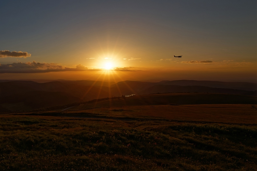 041A8238_DxO-border.jpg.72862718b9bf0a1e47e9abfe04276b42.jpg