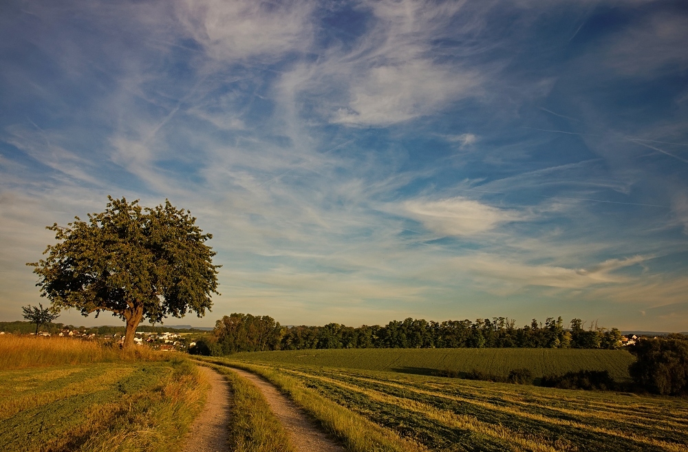 041A8398_DxO-border.jpg.f500af65d6151d3973cc99c425af2f50.jpg