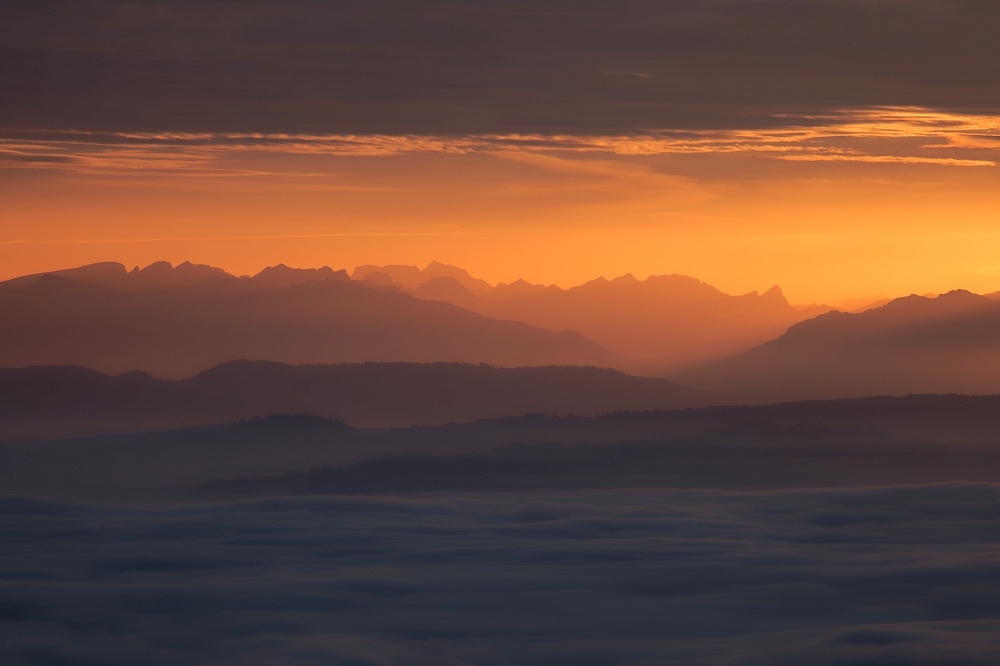 041A9826_DxO-border.jpg.05ba220c0a1353459d00f8fb82bb1366.jpg