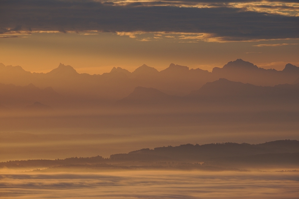 041A9850_DxO-border.jpg.4ffd5aa5557e674c4cd9f3a0d85ff0ec.jpg