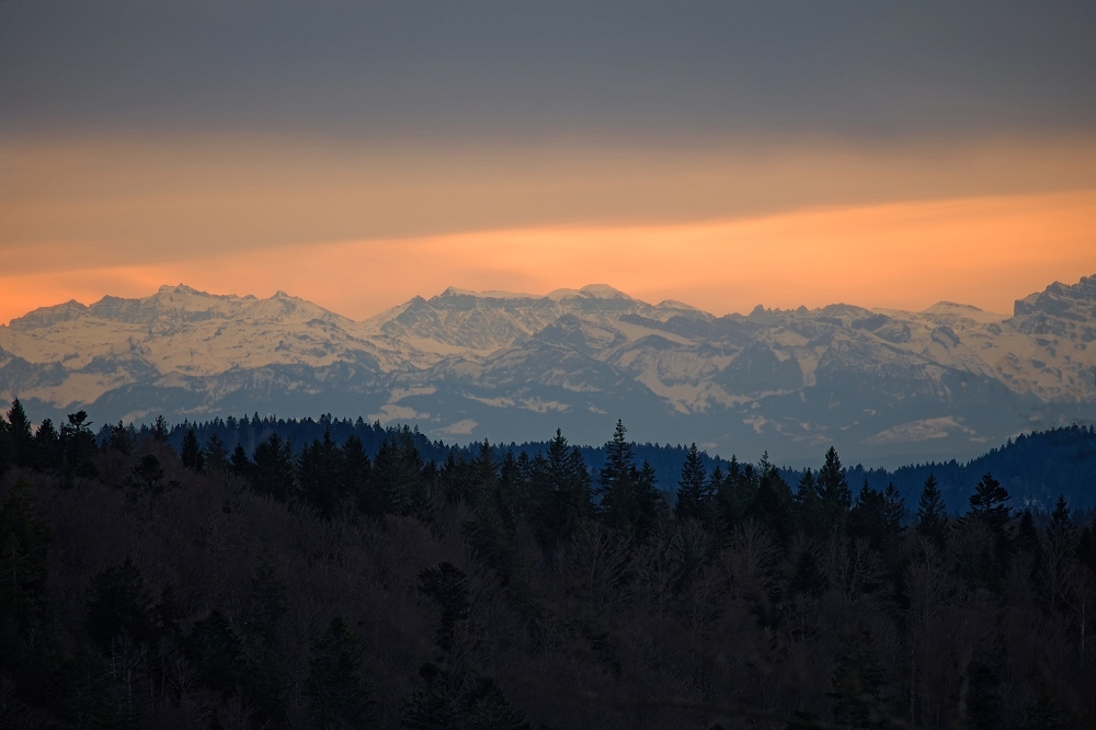 155A0124_DxO-border.jpg.0269b5efc5cb1450b88c141ad3187baf.jpg