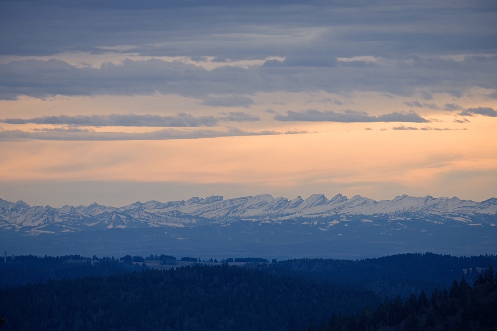 155A0128_DxO-border.jpg.1cb4a8584d14f1ef932bcd3094c322b0.jpg