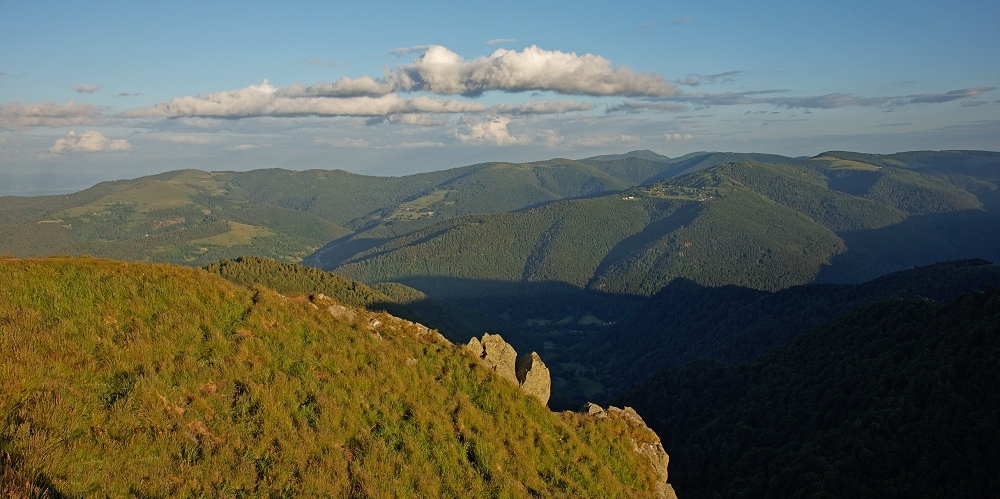 180A4768_DxO-border.jpg.a1244388c0b4af88d8d34a76dfda32a5.jpg