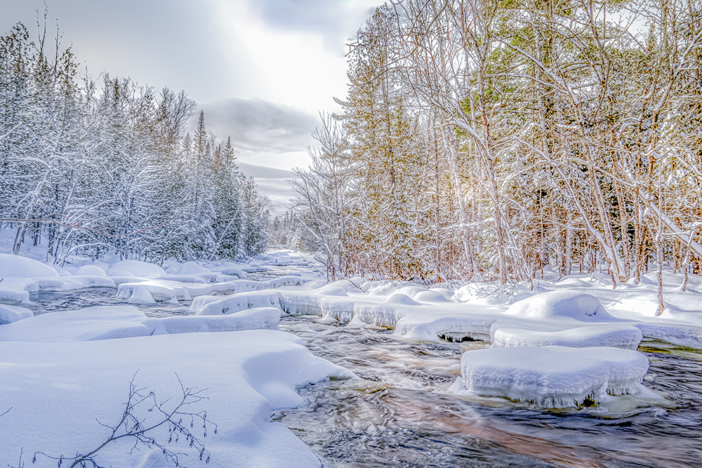 27 janvier 2023-DSD00401ps2web.jpg