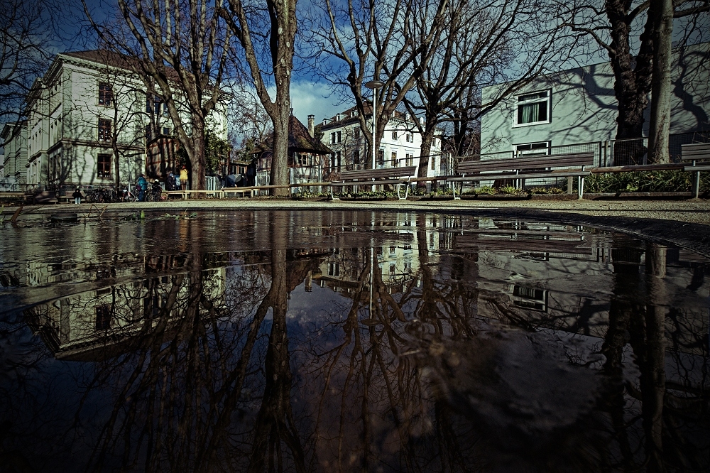 4N1A3790_DxO-border.jpg.897acd48318d97f1da4c2051bfcebcf9.jpg