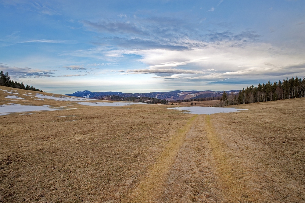 4N1A3923_DxO-border.jpg.ab340ce5eeab53d272f3318ba04451e8.jpg