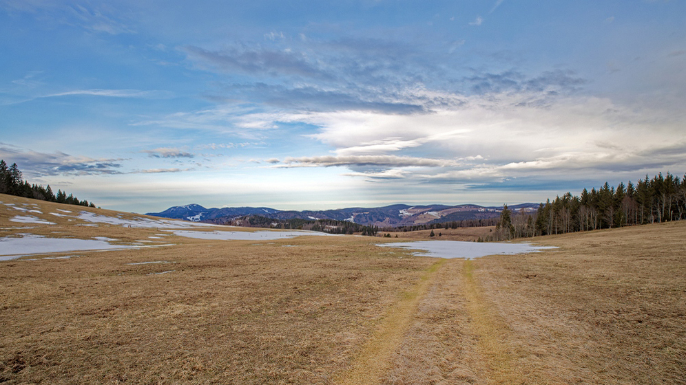 4N1A3923_DxO-border3.jpg.9d1ac6dc8035b42665d00796ef247592.jpg
