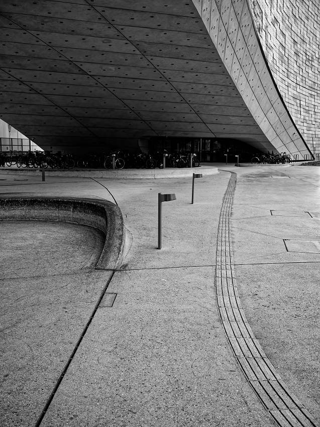 DSCF0651_DxO-border.jpg.eb02b29057a85dd73d60610ab3c54494.jpg