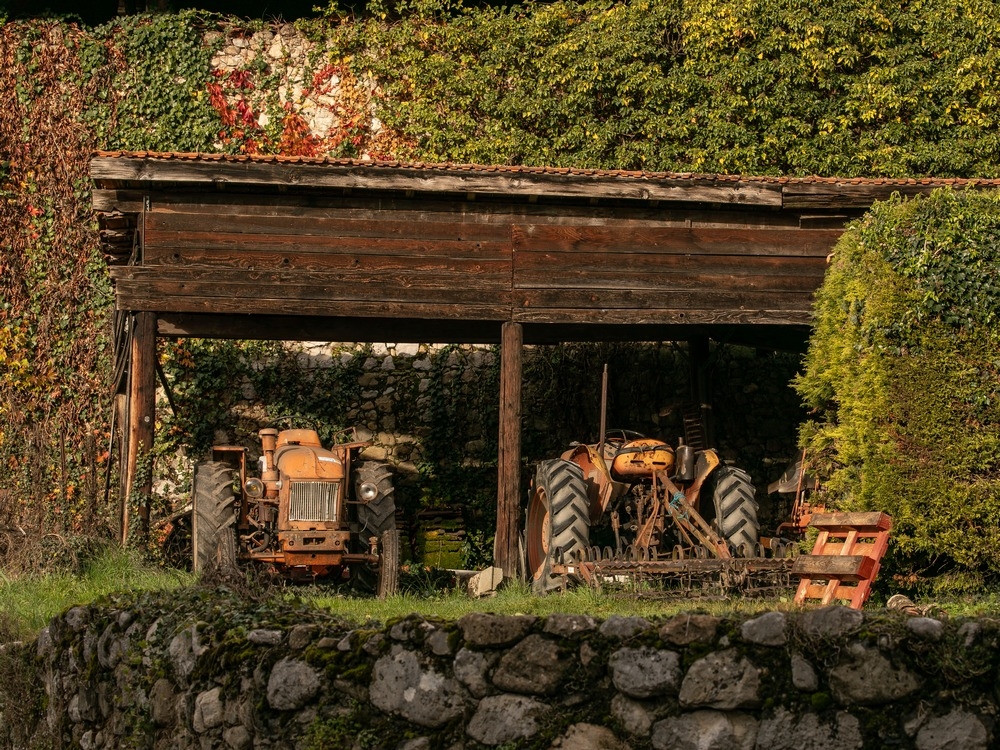 _G6A4452.jpg