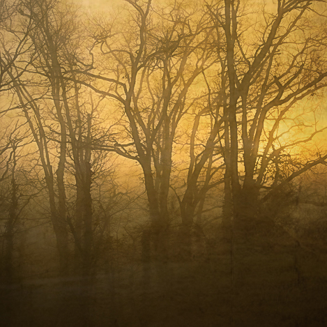04022025-Brouillard.jpg.dc371158f59271dac96cec7a2321a692.jpg