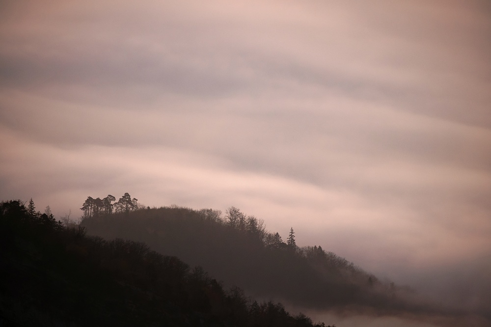 041A9765_DxO-border.jpg.313c25eb42e4e3e6d8614ec91c8148df.jpg