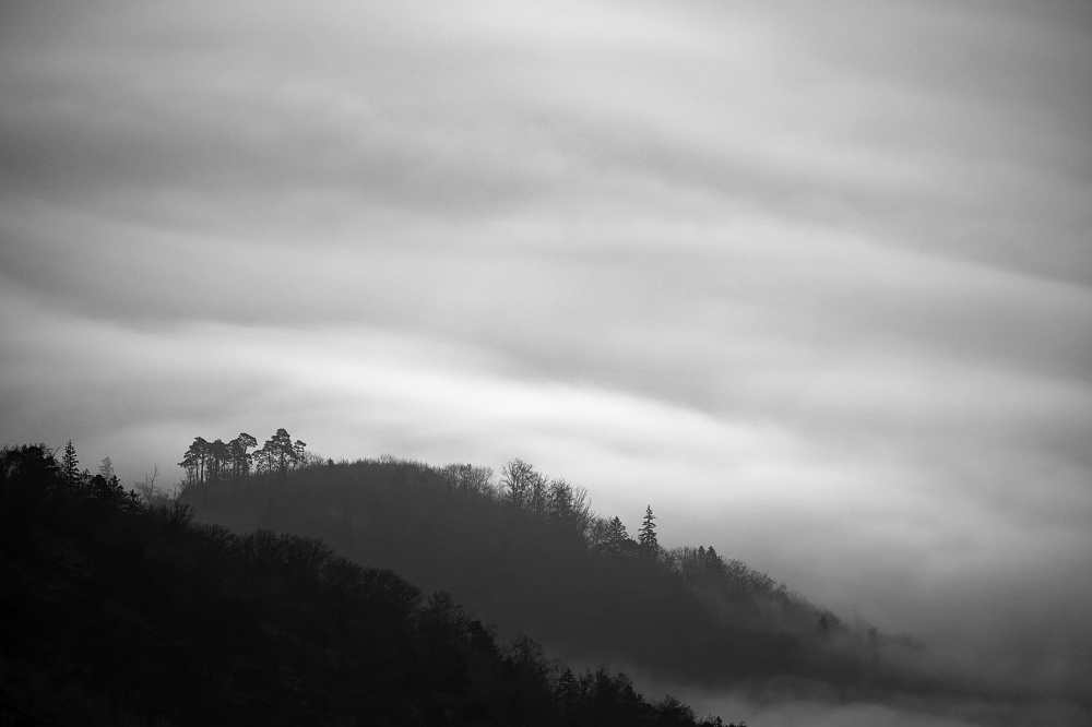 041A9765_DxO_1-border.jpg.ed59d90d1b8f3954b1c1cb6f93ce294c.jpg