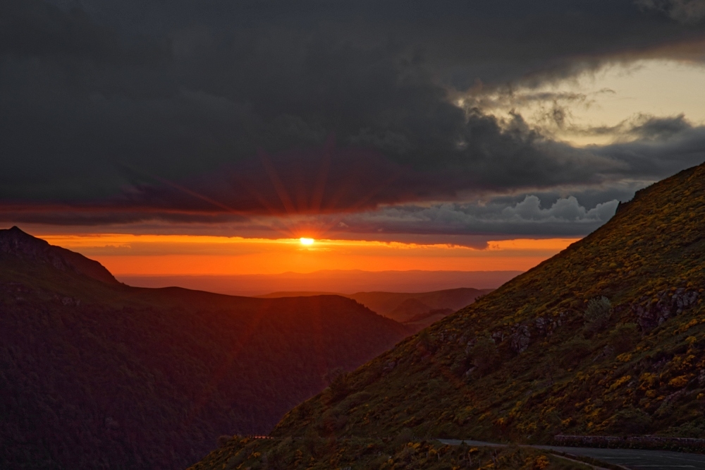 180A4322_DxO-border.jpg.5a4457d07900bf41966c1b86f06e2d48.jpg