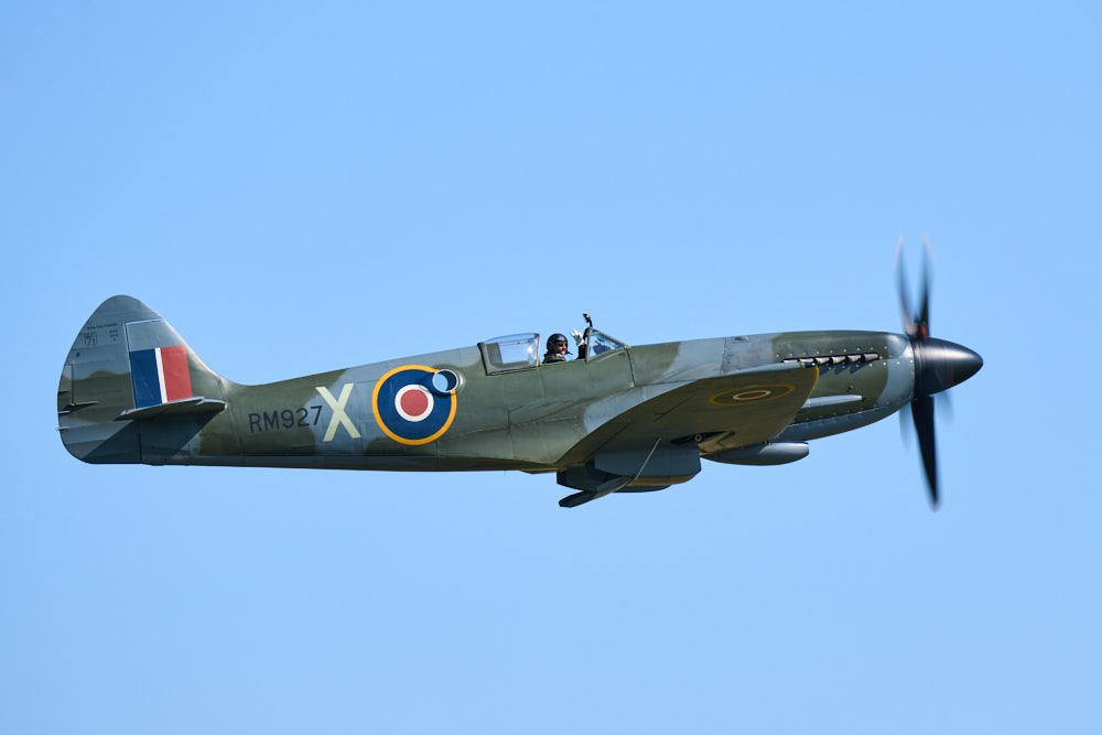 20230909_1454_DSC04908_1K_wo.jpg.c8195eaffa4387553e8c2af65818d2e2.jpg