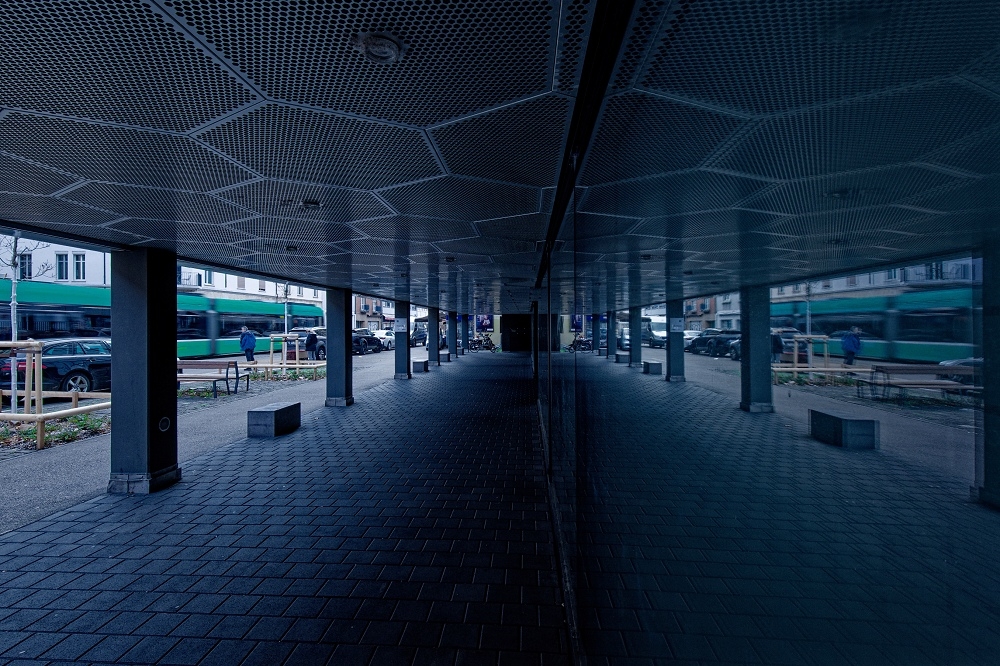 4N1A3769_DxO-border.jpg.bbbe25288be58e9b8c30972d802731e6.jpg
