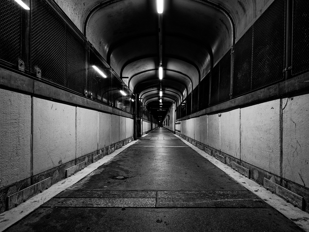 DSCF3049_DxO_1-border.jpg.eed0eb9350c972426daa7e79f06b321c.jpg