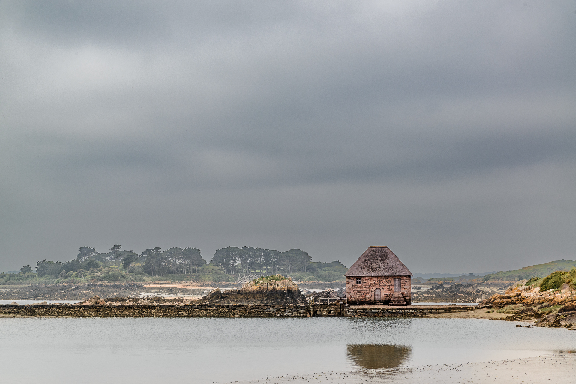 Live N° 22 - 6 février 2025