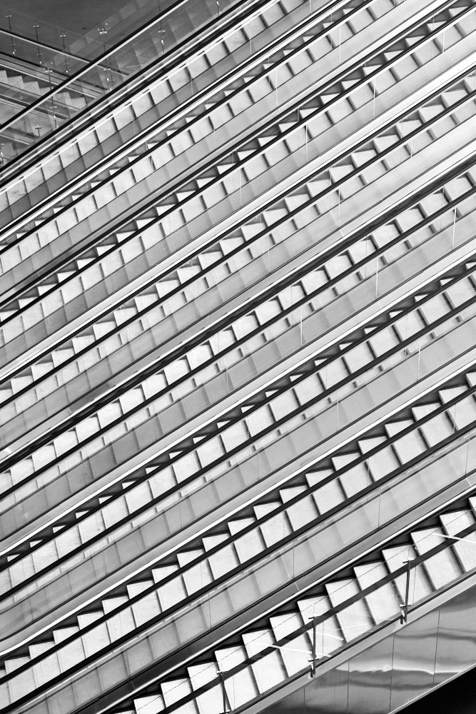 20250301_1703_DSC00692_1K_wo.jpg.e9b6811f3034ace61595580d3fb4d896.jpg