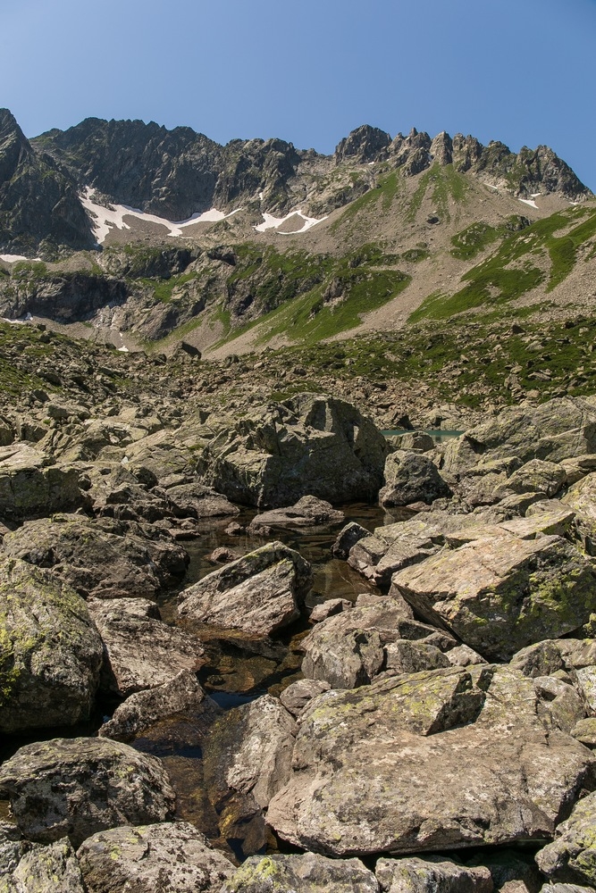 2G6A3319.jpg