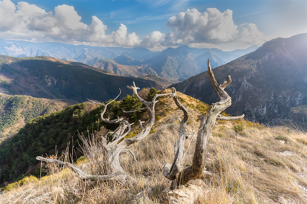 CimeAuthionPaysage4.jpg.783b5d08bfb3c5532321ab27e814355c.jpg