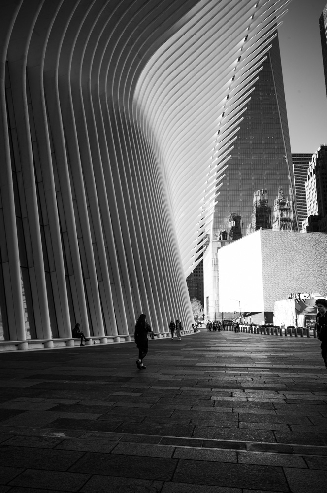 L1006063.jpg.cd7f7a9f58464a2c937eef2a3aed20ce.jpg