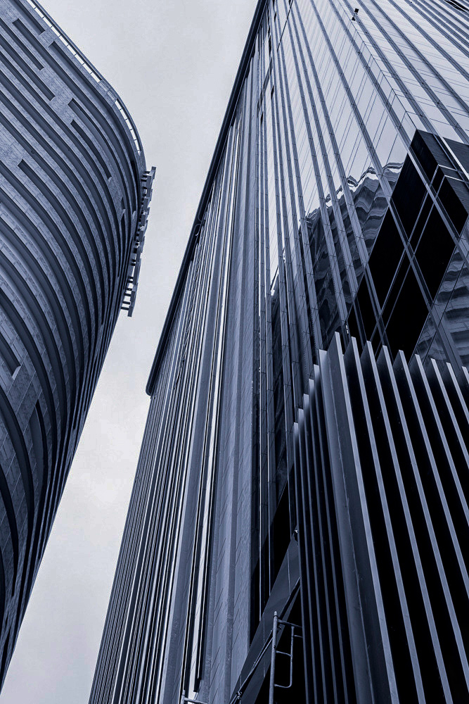 lignes.jpg.0bc043e84cb47ffc9516a451afa6e9ab.jpg