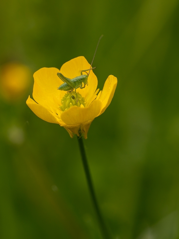2G6A5514.jpg