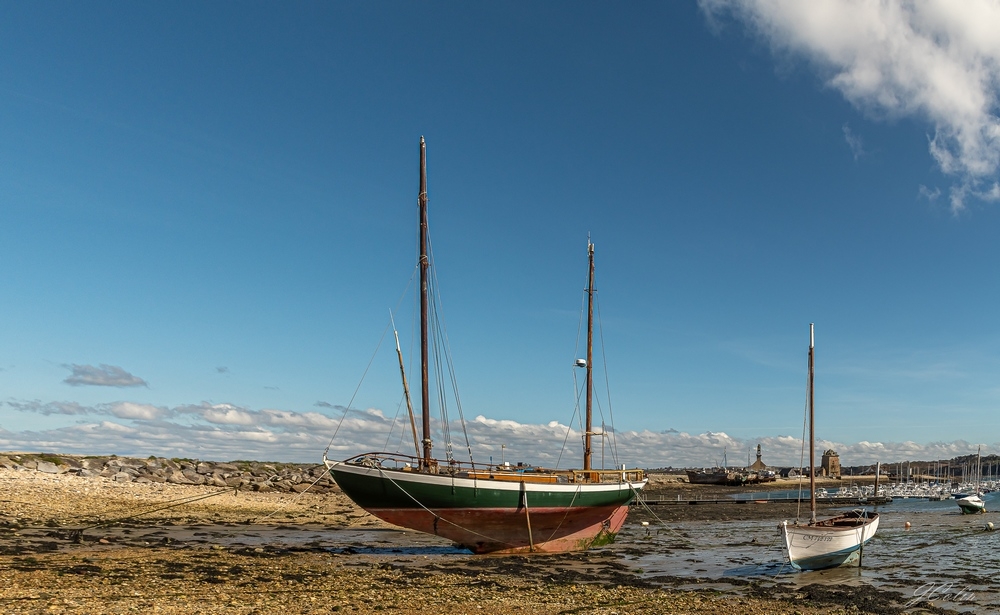_DSC2919-1.jpg.c87f5eb35ec351e10b25c6a3511e7381.jpg