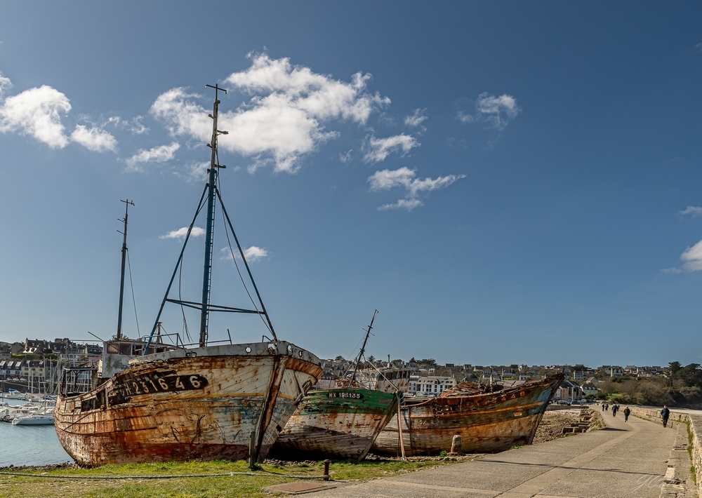 _DSC2959-2.jpg.1858618d22087da154e219e9faeef2f7.jpg