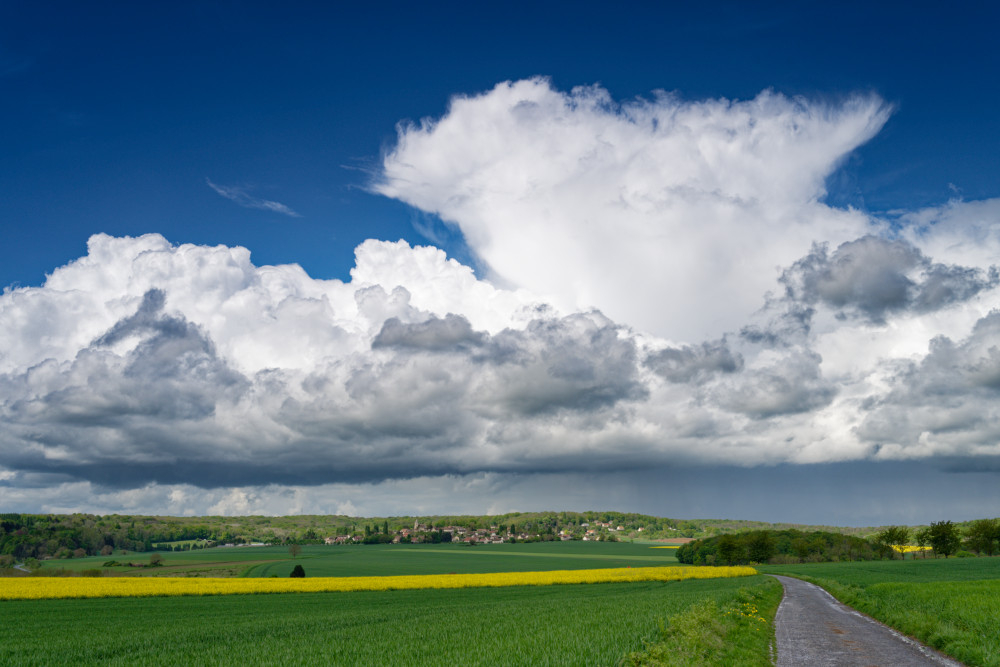 _DSC6607_DXO.jpg.d89e160c70d9813142f8d709cd3bd7ce.jpg
