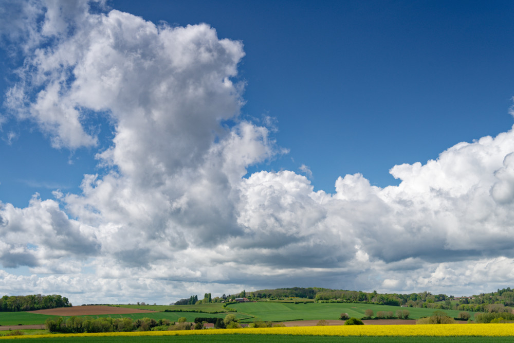 _DSC6610_DXO.jpg.d3a9c0bd2ef633f0a0c8994e88be9d4a.jpg
