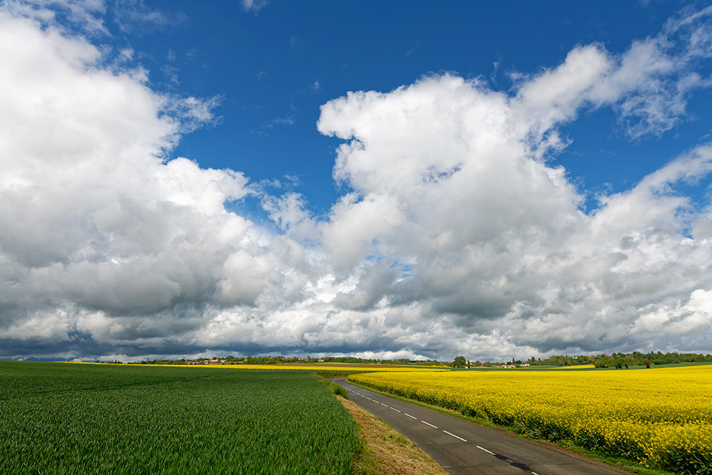 _DSC1157_DxO2.jpg.6e6a4310c08f40bccaebcd80b5966f04.jpg