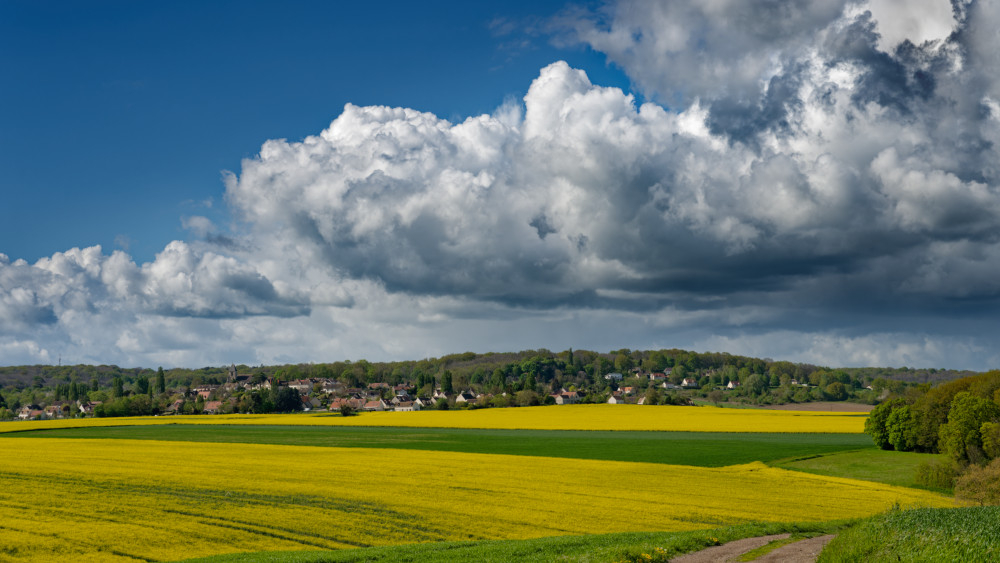 _DSC3959_DXO.jpg.71fd9e0f87c4478f088487d0e516864a.jpg