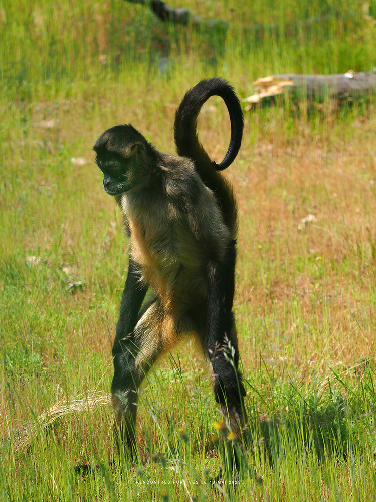 nt_60p.jpg.45e445f3776e882af0b5e8bdd66f9bf7.jpg