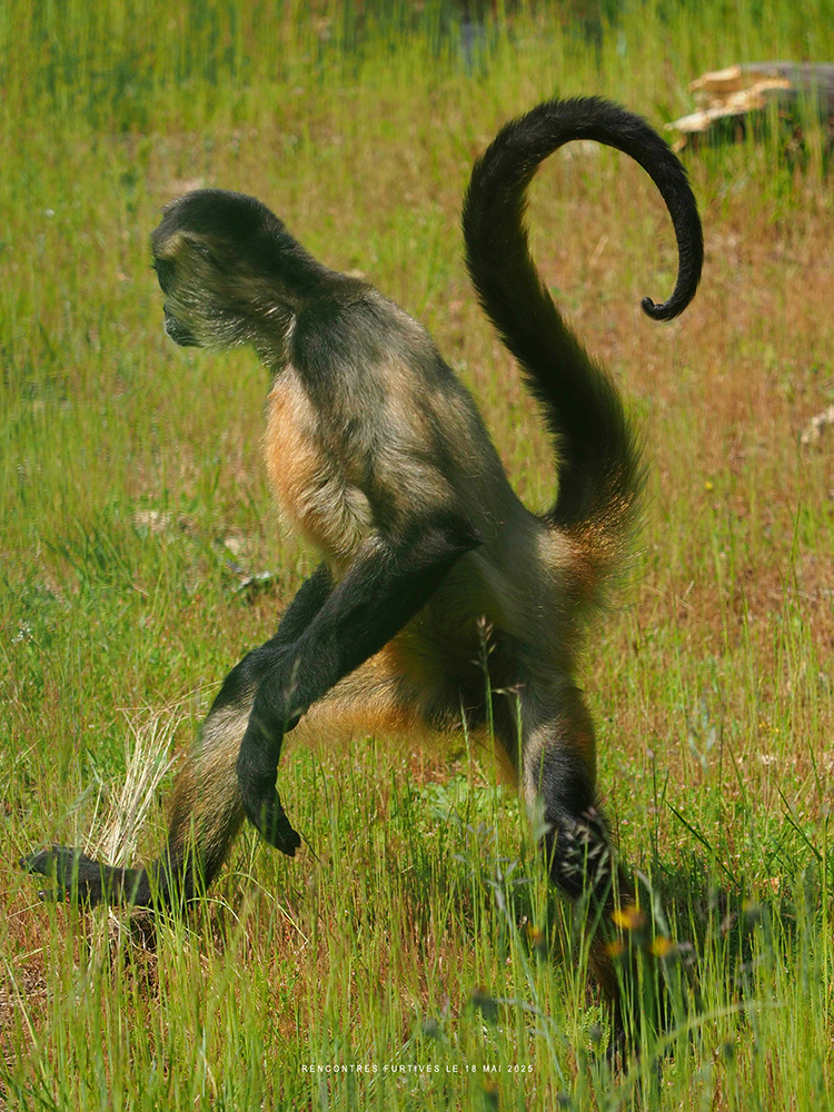 nt_61p.jpg.4561bd7852653fd4da418b717552b07b.jpg