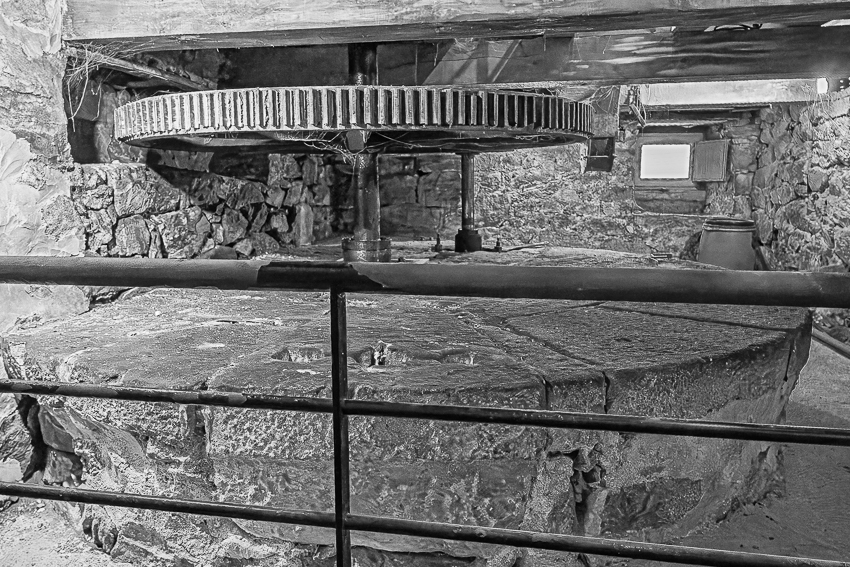 MHA03754-Avec accentuation-Bruit_LR_WEB.jpg