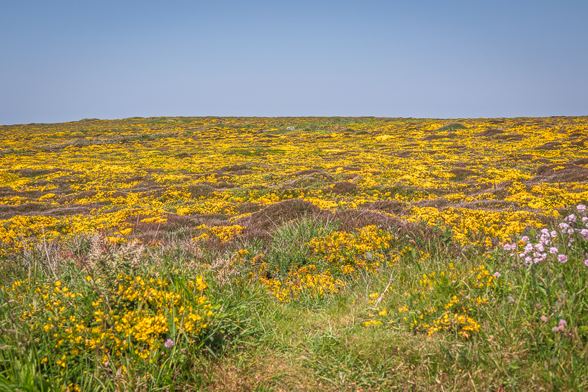 MHA04078_LR_WEB.jpg