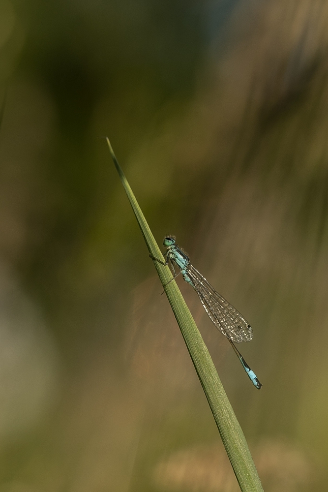 2G6A5581.jpg