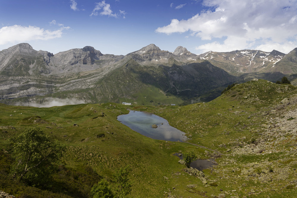 _S5A2134.jpg.11f8246a2197946aef9edeb498e26e62.jpg