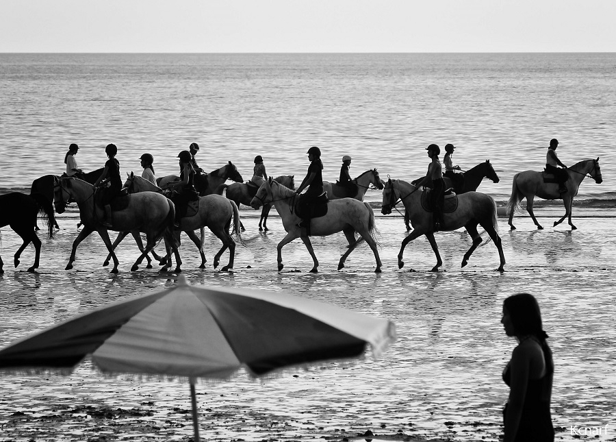 Faire de la plage son dada.jpg