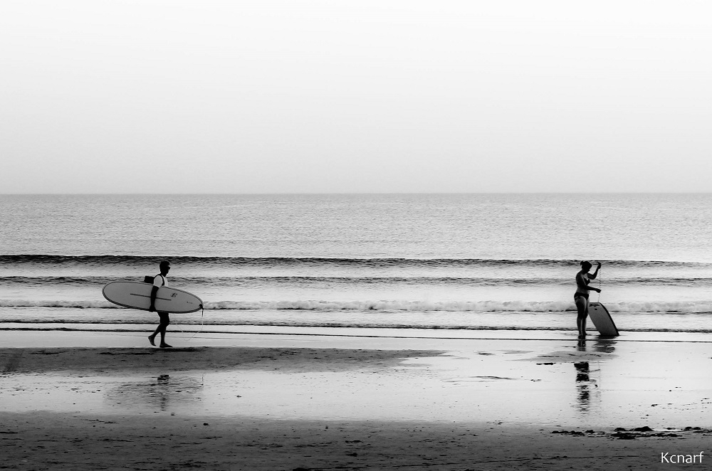 Promener son surf.jpg